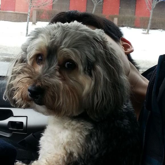 Meet your Posher, Flora - Picture 1 of 1